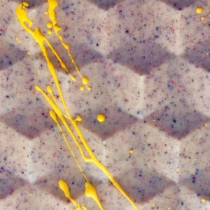 Blueberry Bee Pollen Bar