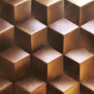 Chocolate Vented Tyrant