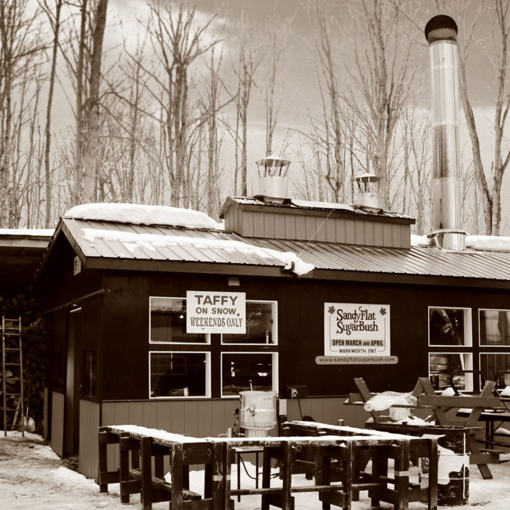Sandy Flat Sugar Bush