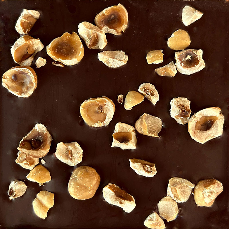 Sugar Free Chocolate - Ontario Hazelnut